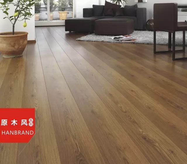 6.webp.jpg 6.webp.jpg