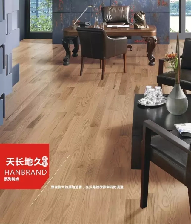 12.webp.jpg 12.webp.jpg