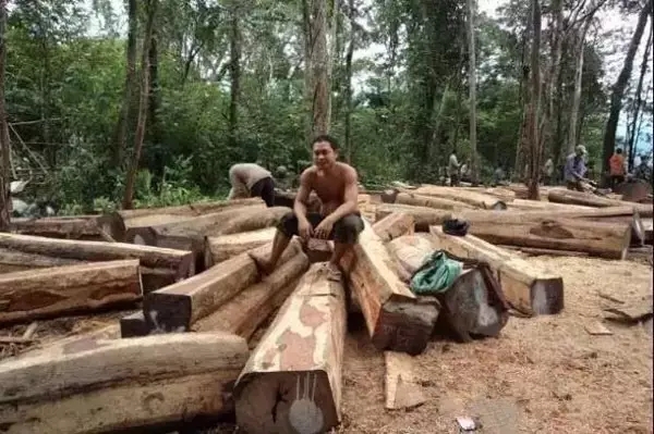 640.webp.jpg 640.webp.jpg