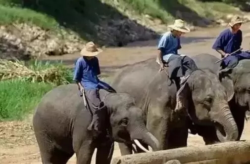 640.webp (1).jpg 640.webp (1).jpg