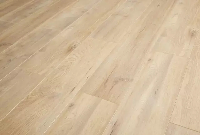 洪6.webp.jpg 洪6.webp.jpg