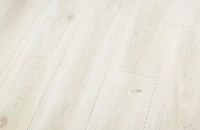 洪2.webp.jpg 洪2.webp.jpg