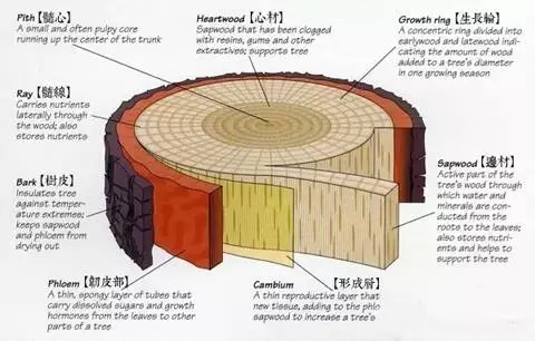 1.webp.jpg 1.webp.jpg