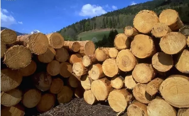 1-3.webp.jpg 1-3.webp.jpg