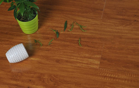 地板廠家招商需要投資者準(zhǔn)備什么 地板廠家招商需要投資者準(zhǔn)備什么